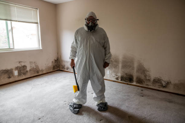 Fifth Street, TX Mold Removal Company